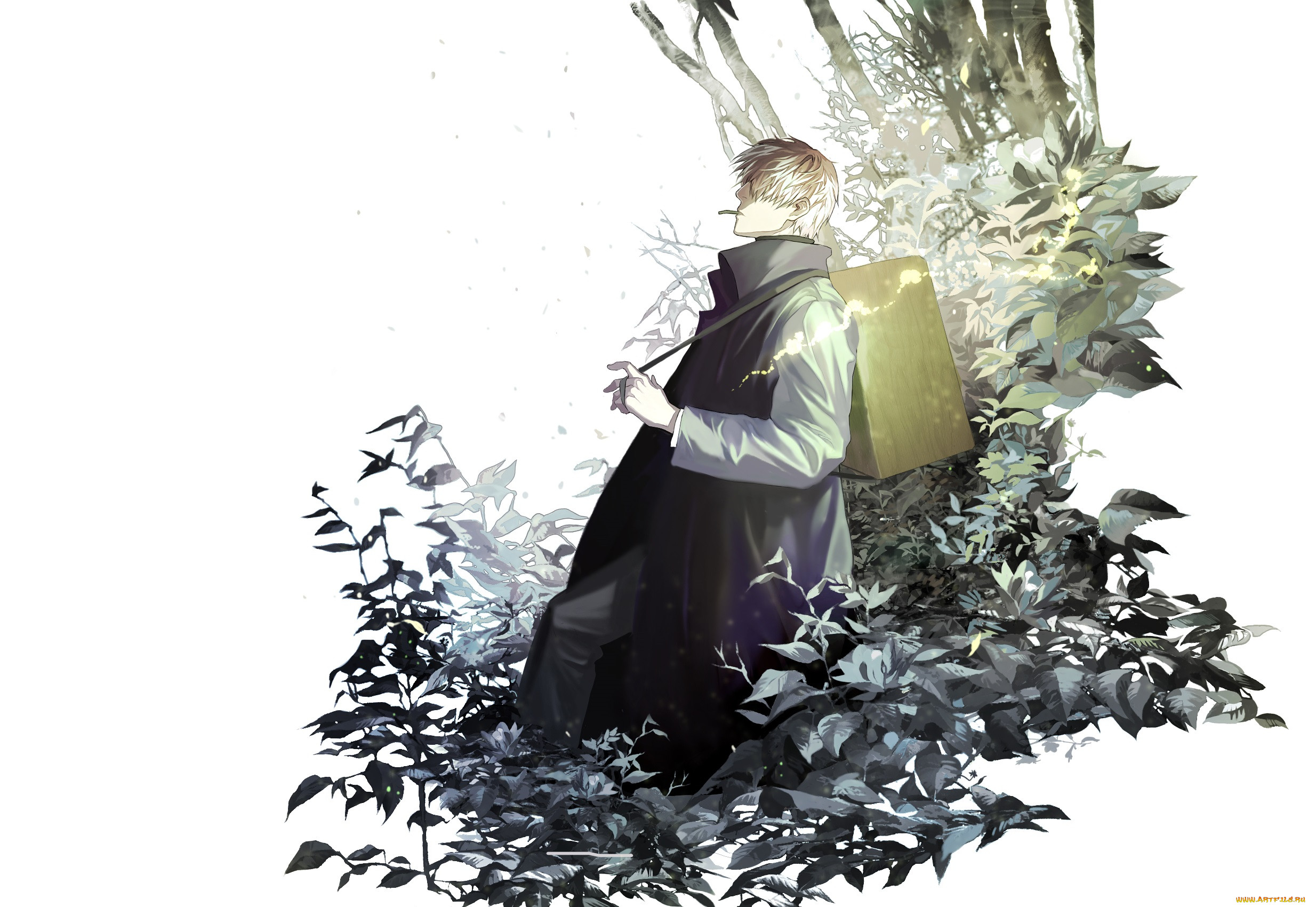 , mushishi, ginko